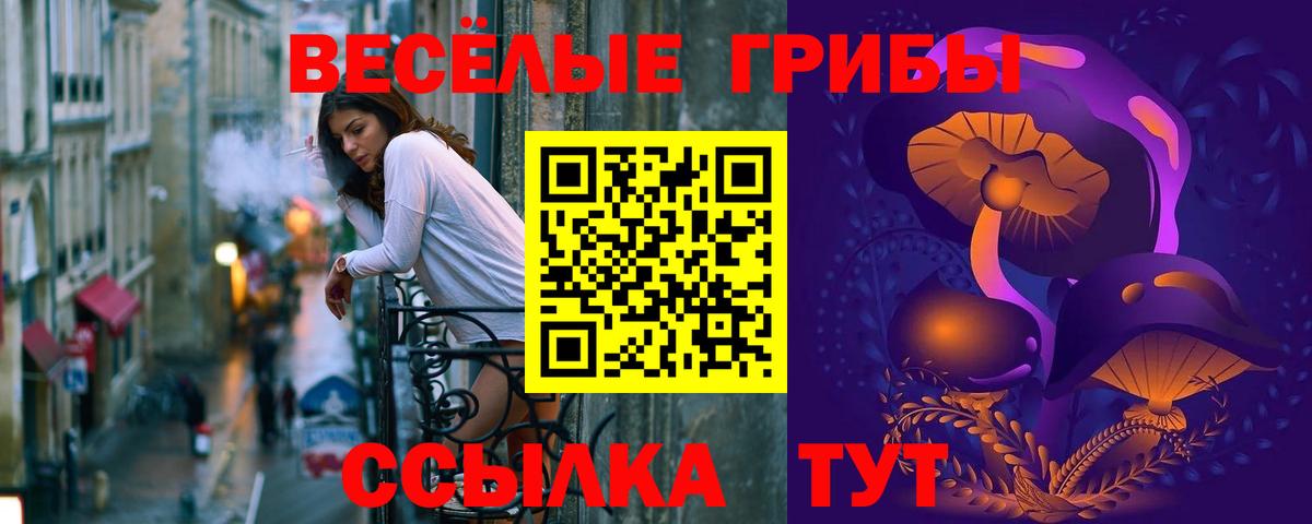 Бахчисарай  Галлюциногенные грибы прущие грибы  Псилоцибиновые грибы мухоморы  Вход с VPN 