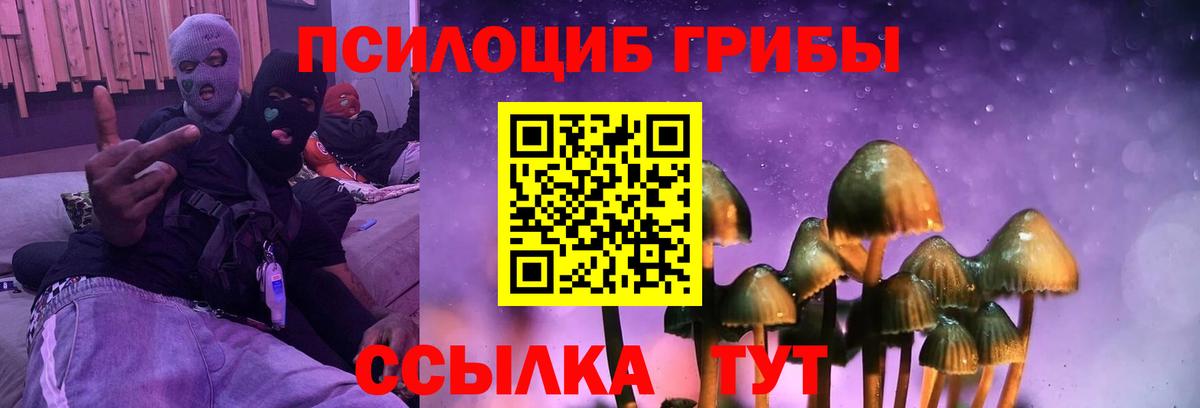 Псилоцибиновые грибы GOLDEN TEACHER Бахчисарай